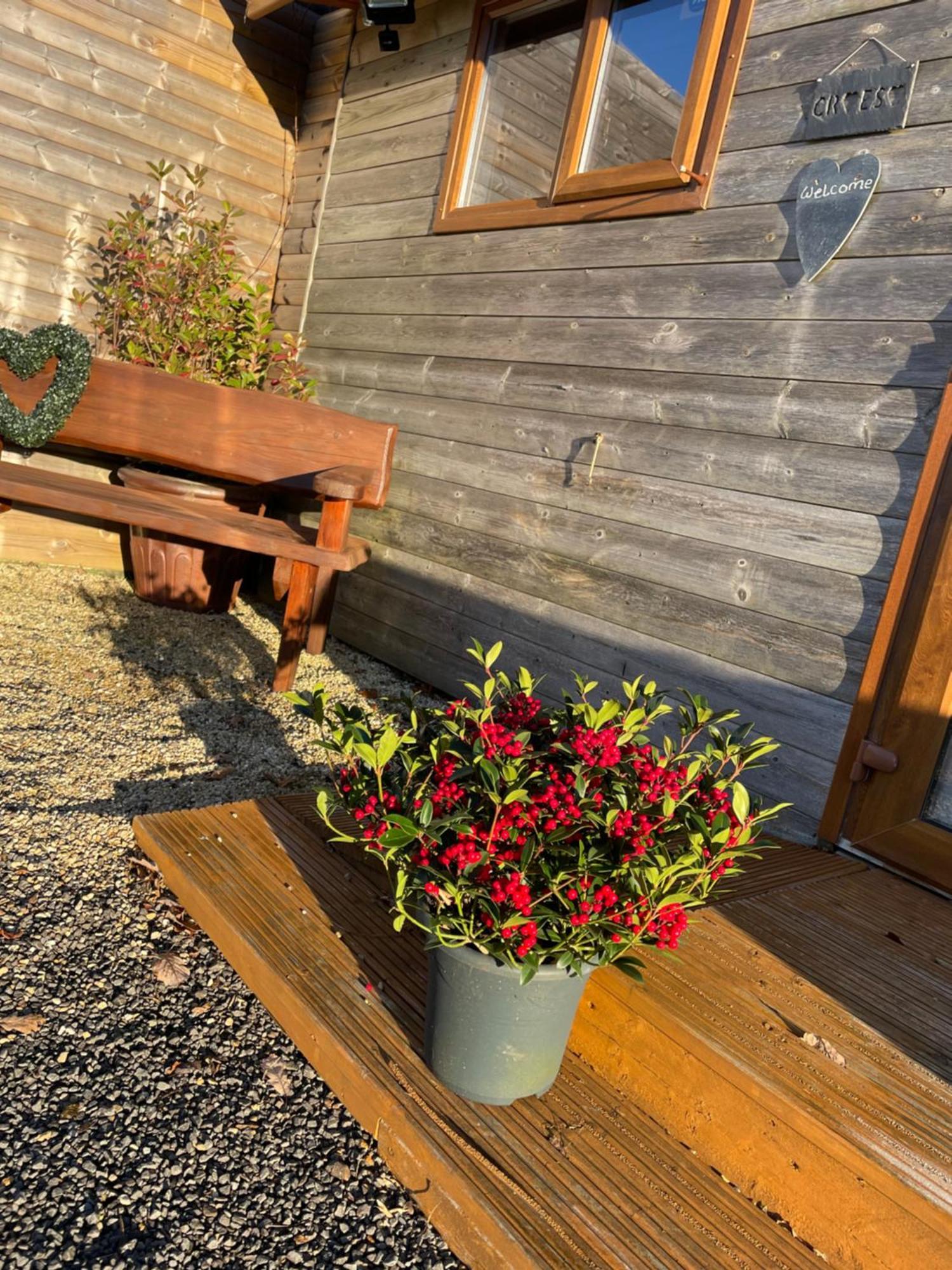 Swansea Log Cabin Pontardawe Exterior foto