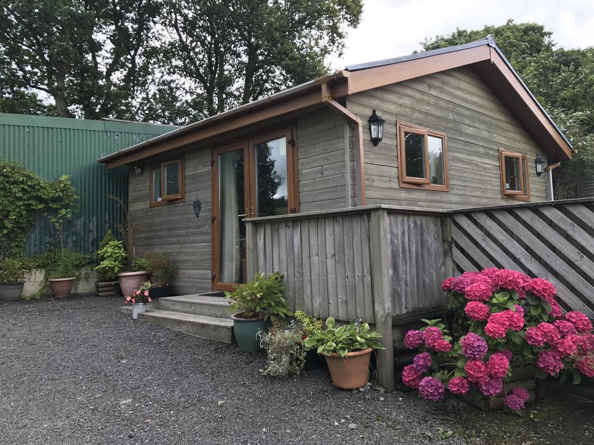 Swansea Log Cabin Pontardawe Exterior foto