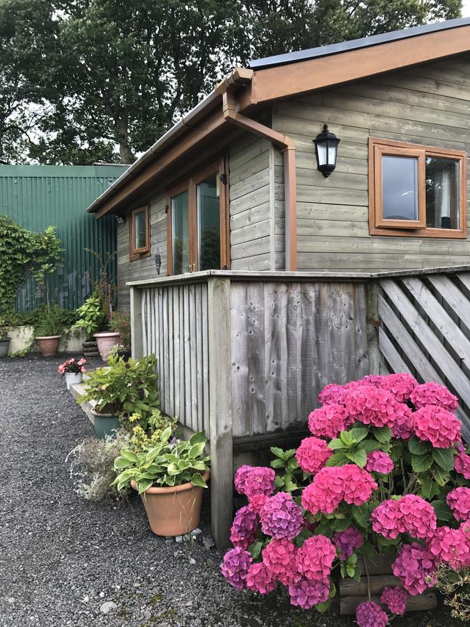 Swansea Log Cabin Pontardawe Exterior foto